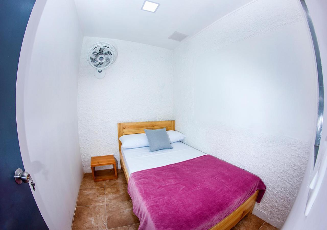 Charlie Palace Hostel 麦德林 客房 照片