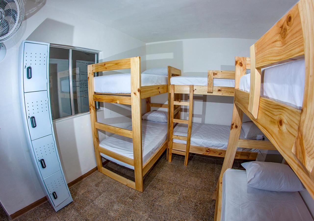 Charlie Palace Hostel 麦德林 客房 照片